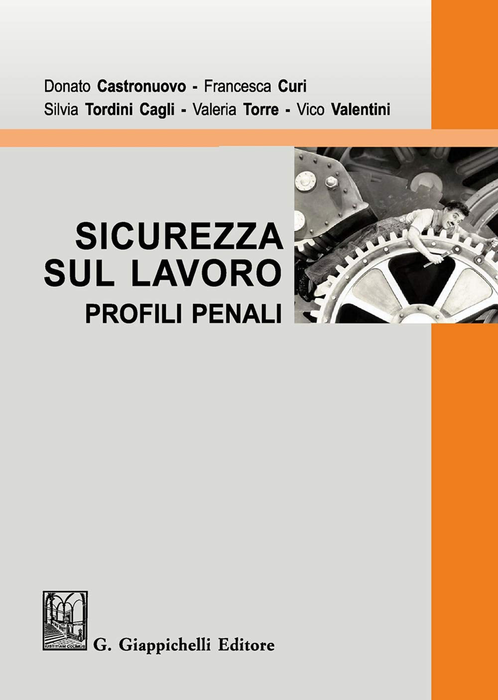 Sicurezza sul lavoro. Profili penali book