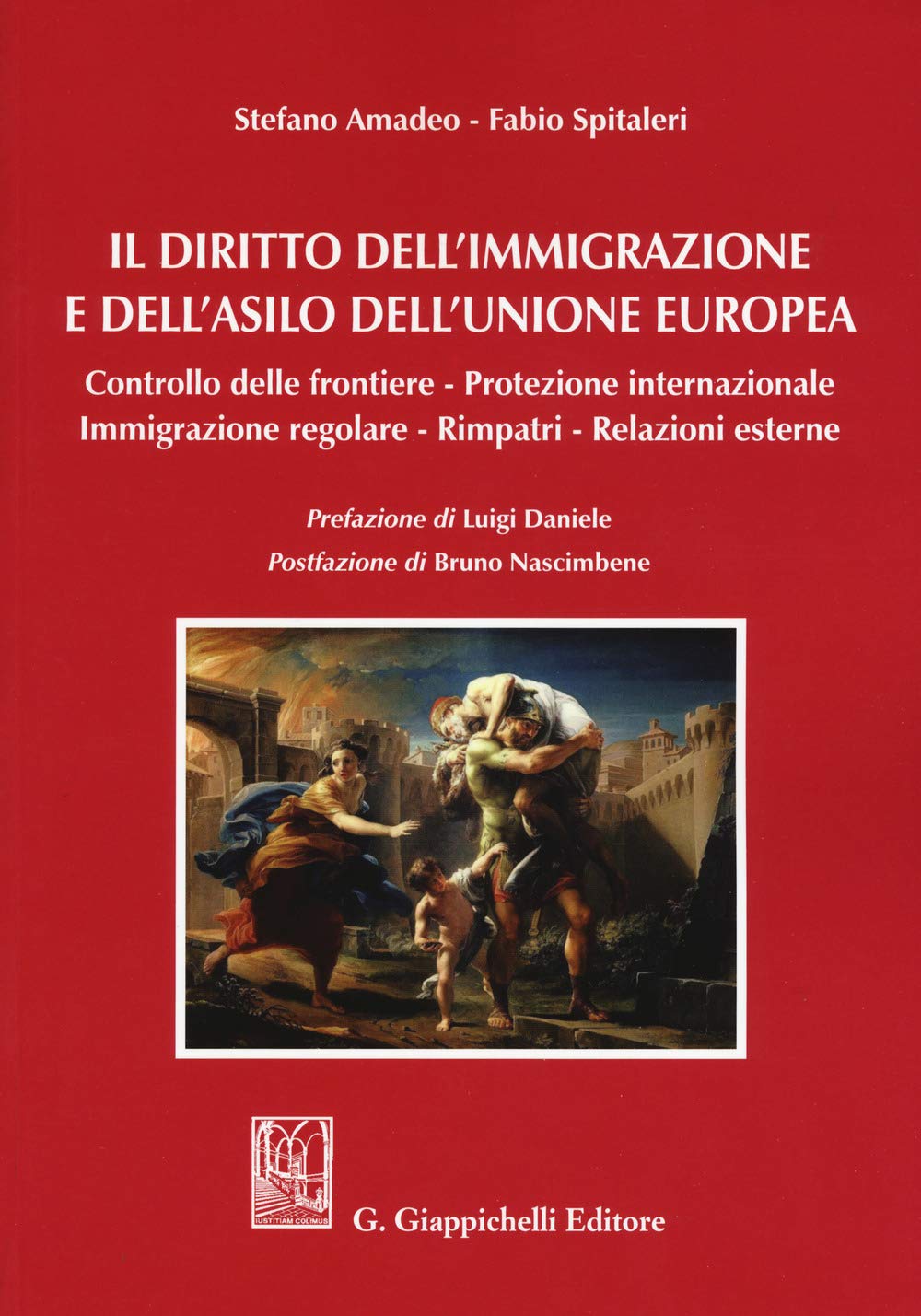 Il diritto dell'immigrazione e dell'asilo dell'Unione europea. Controllo delle frontiere, protezione internazionale, immigrazione regolare, rimpatri, relazioni esterne book