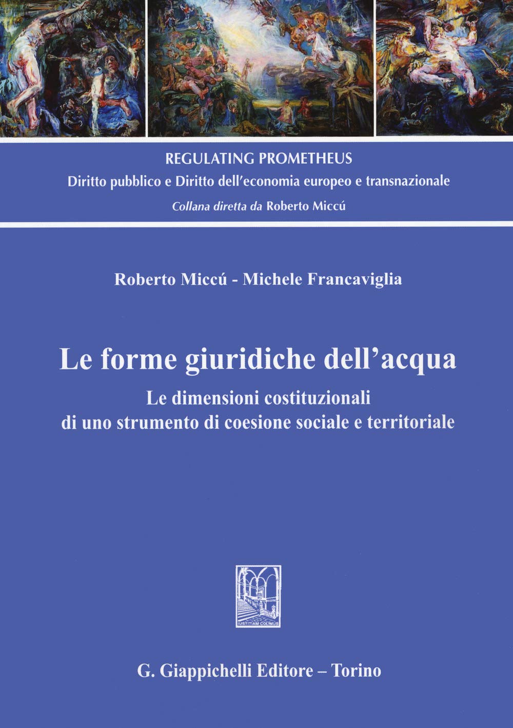 Le forme giuridiche dell'acqua. Le dimensioni costituzionali di uno strumento di coesione sociale e territoriale book