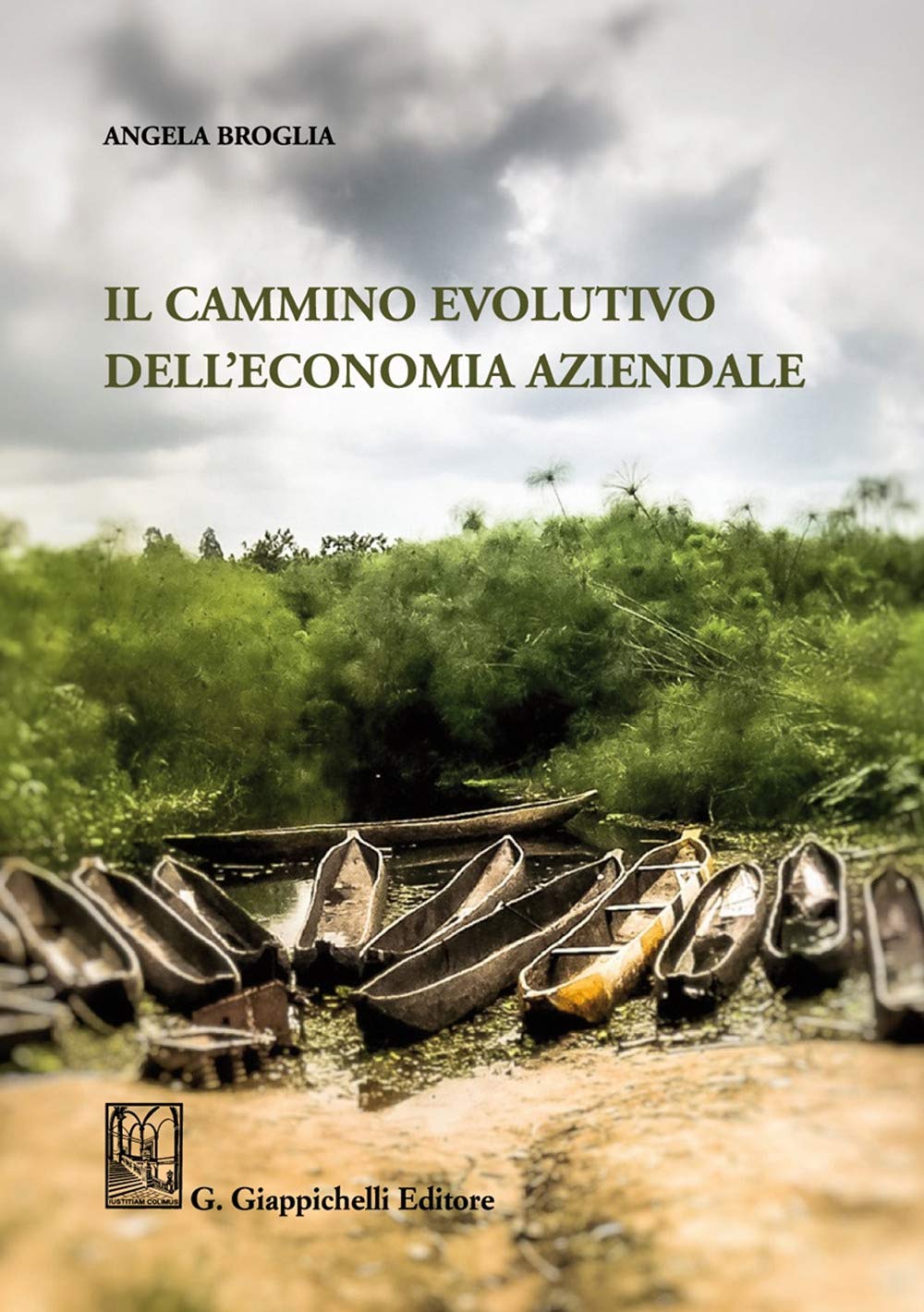 Il cammino evolutivo dell'economia aziendale book