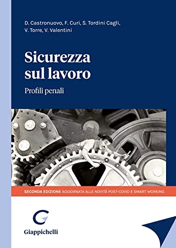 Sicurezza sul lavoro. Profili penali book