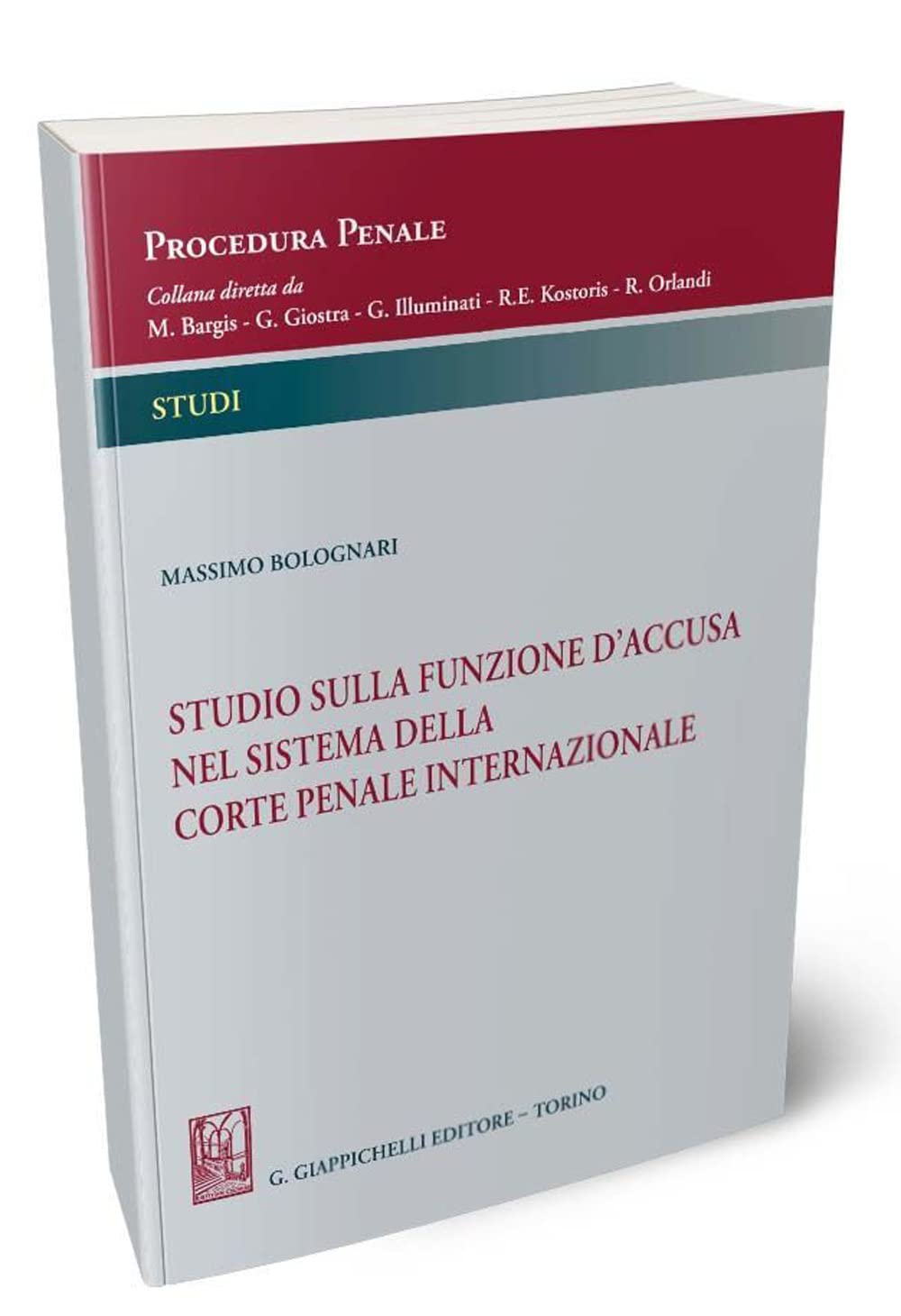 Studio sulla funzione d'accusa nel sistema della Corte penale internazionale book