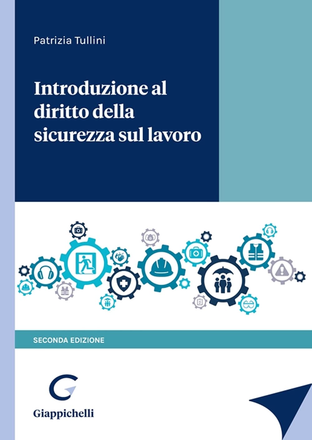 Introduzione al diritto della sicurezza sul lavoro book