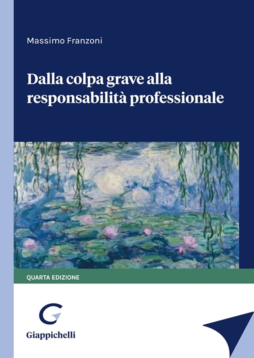 Dalla colpa grave alla responsabilità professionale book