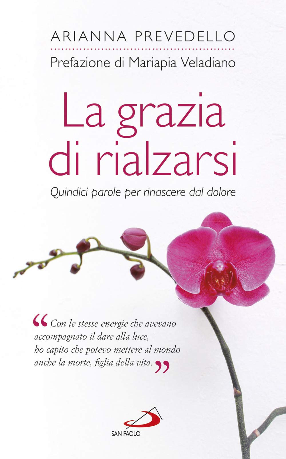 La grazia di rialzarsi. Quindici parole per rinascere dal dolore book