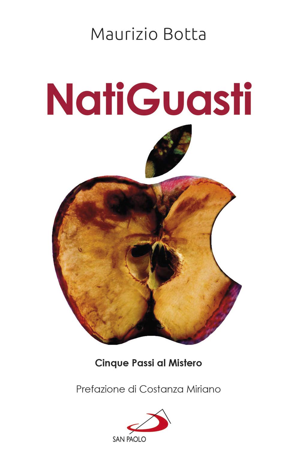 Natiguasti. Cinque passi al Mistero book