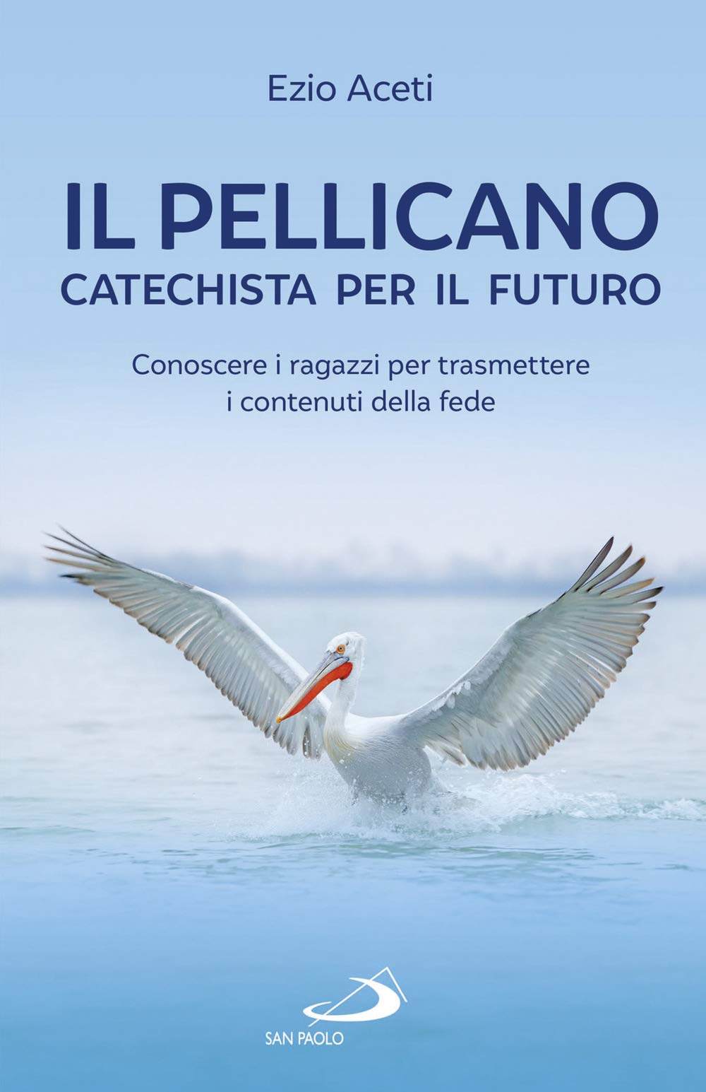 Il pellicano: catechista per il futuro. Conoscere i ragazzi per trasmettere i contenuti della fede book