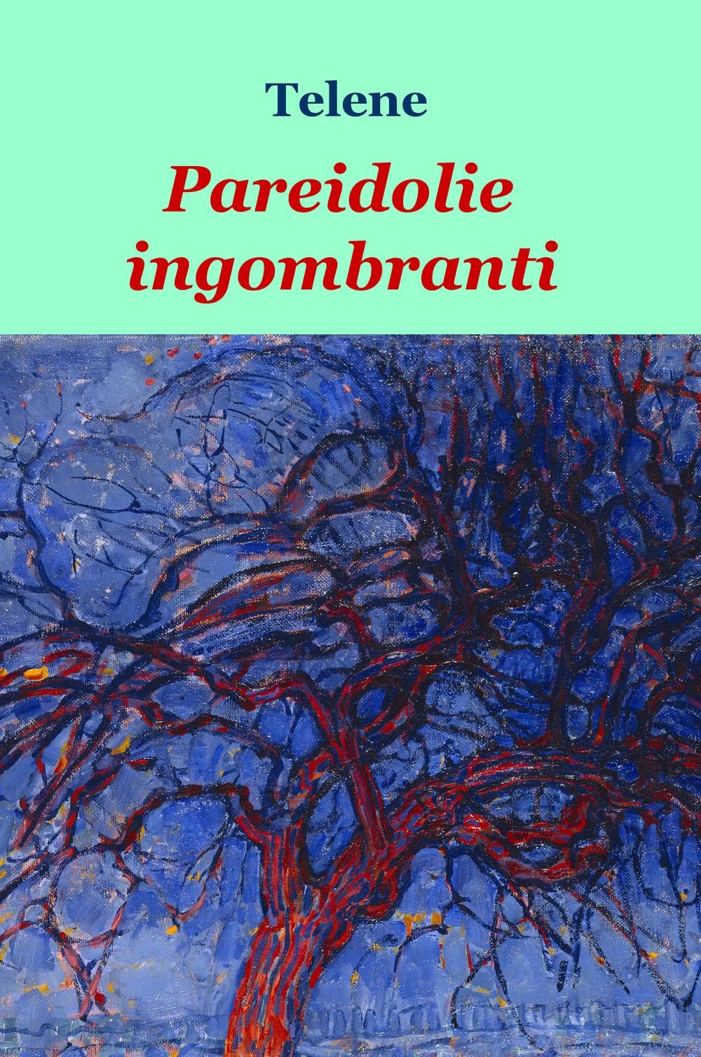 Pareidolie ingombranti (La community di ilmiolibro.it) Poetry