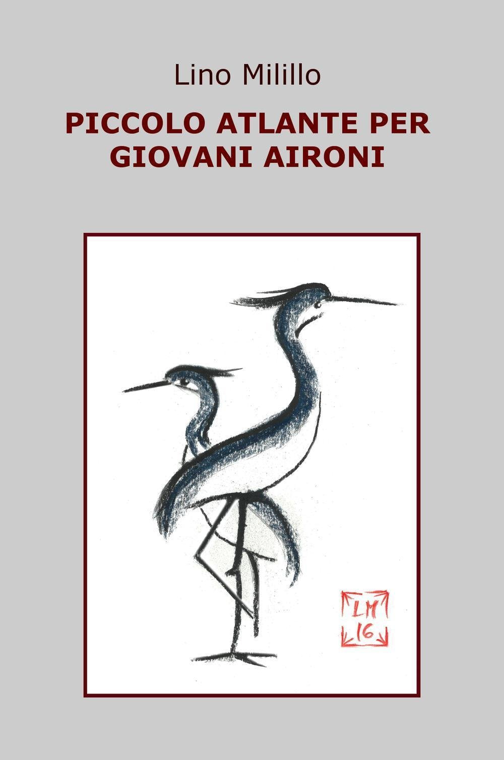 PICCOLO ATLANTE PER GIOVANI AIRONI (La community di ilmiolibro.it) Contemporary literature
