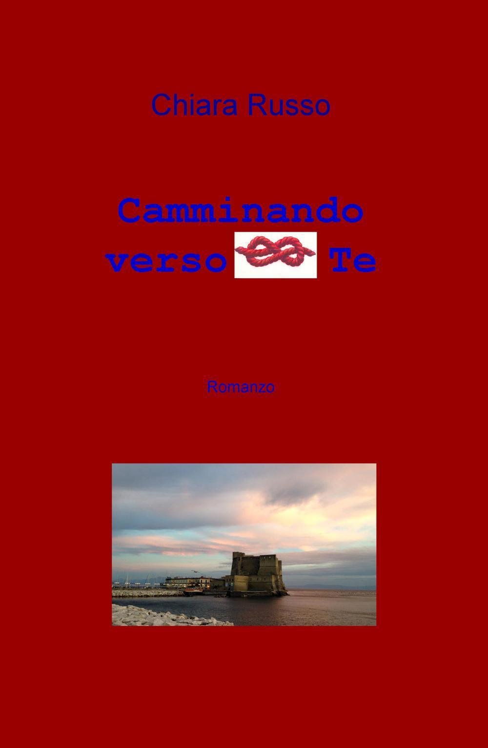 Camminando verso te (La community di ilmiolibro.it) Contemporary literature