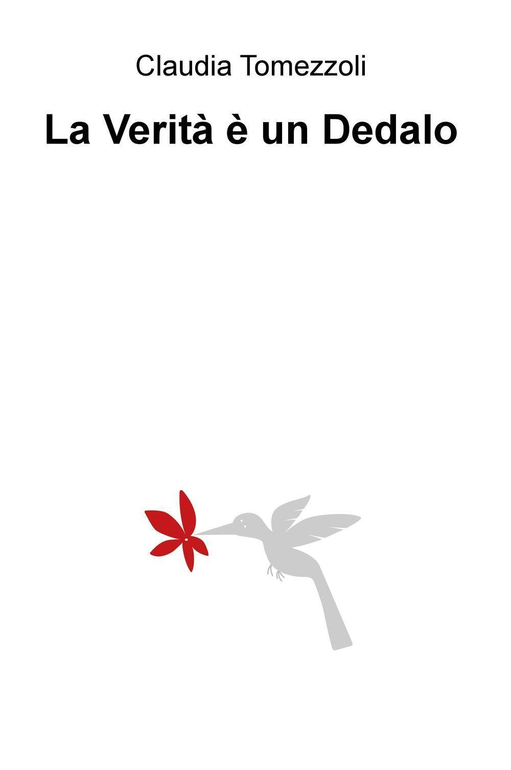La verita e un Dedalo (La community di ilmiolibro.it) Contemporary literature