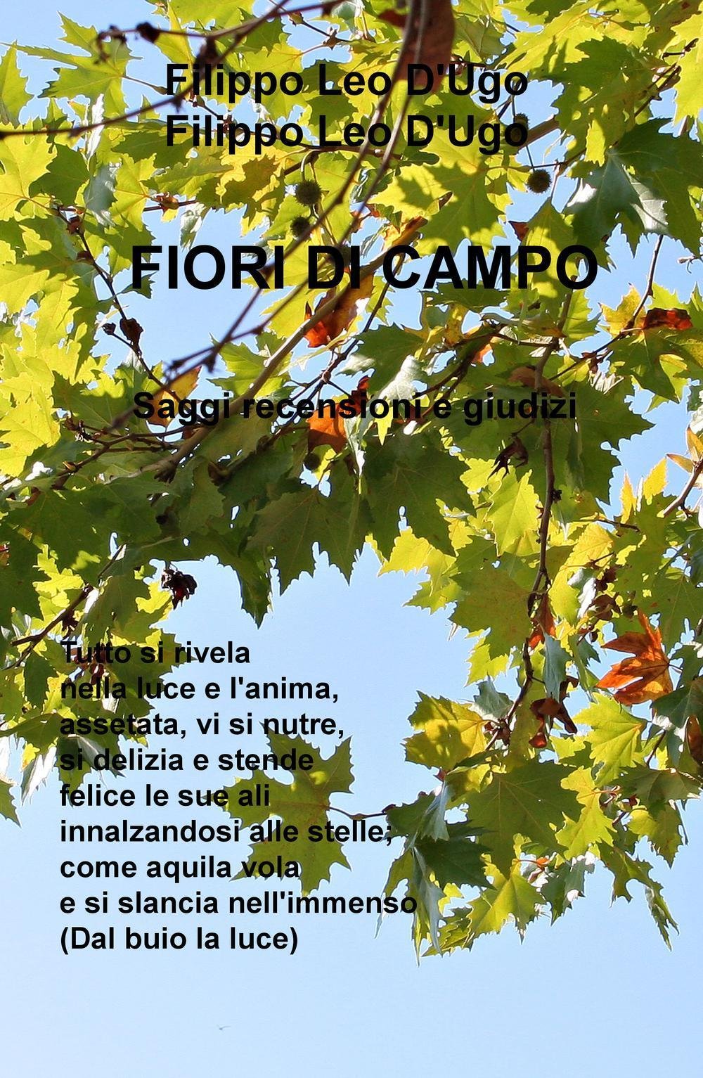 Fiori di campo. Saggi, recensioni e giudizi (La community di ilmiolibro.it) Contemporary literature