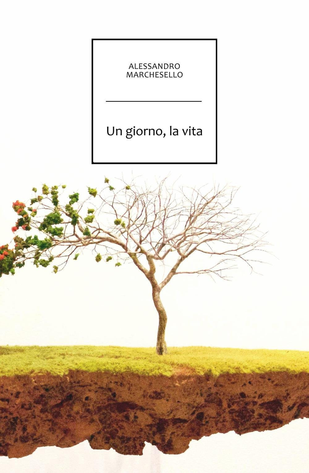 Un giorno, la vita (La community di ilmiolibro.it) Contemporary literature