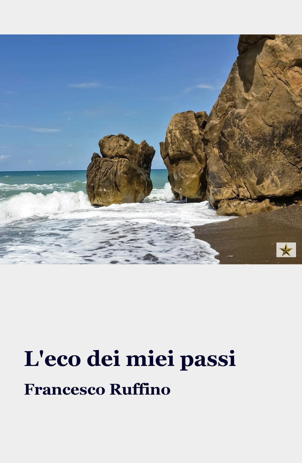 L'eco dei miei passi (La community di ilmiolibro.it) Contemporary literature