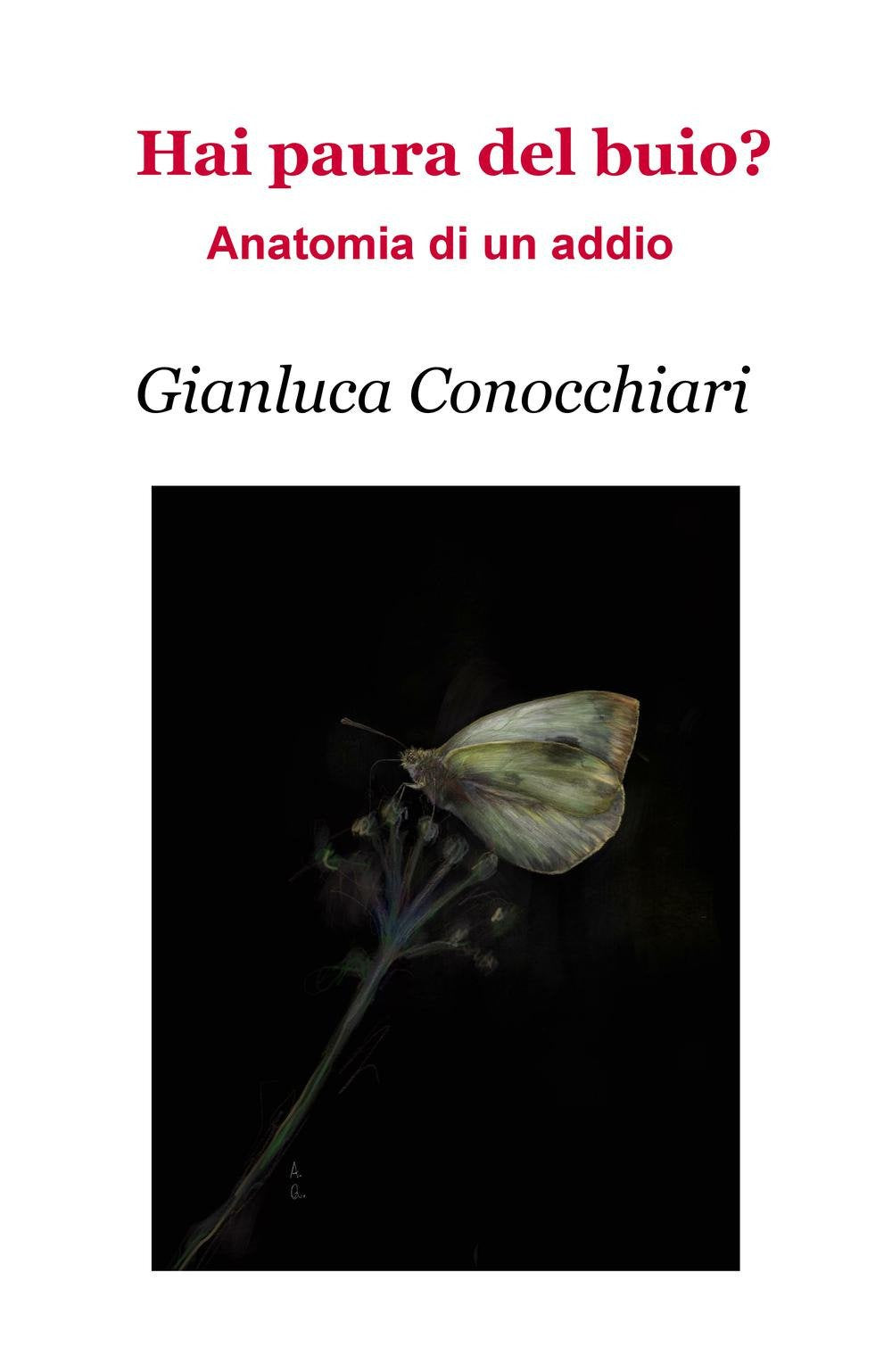 Hai paura del buio? Anatomia di un addio (La community di ilmiolibro.it) Contemporary literature