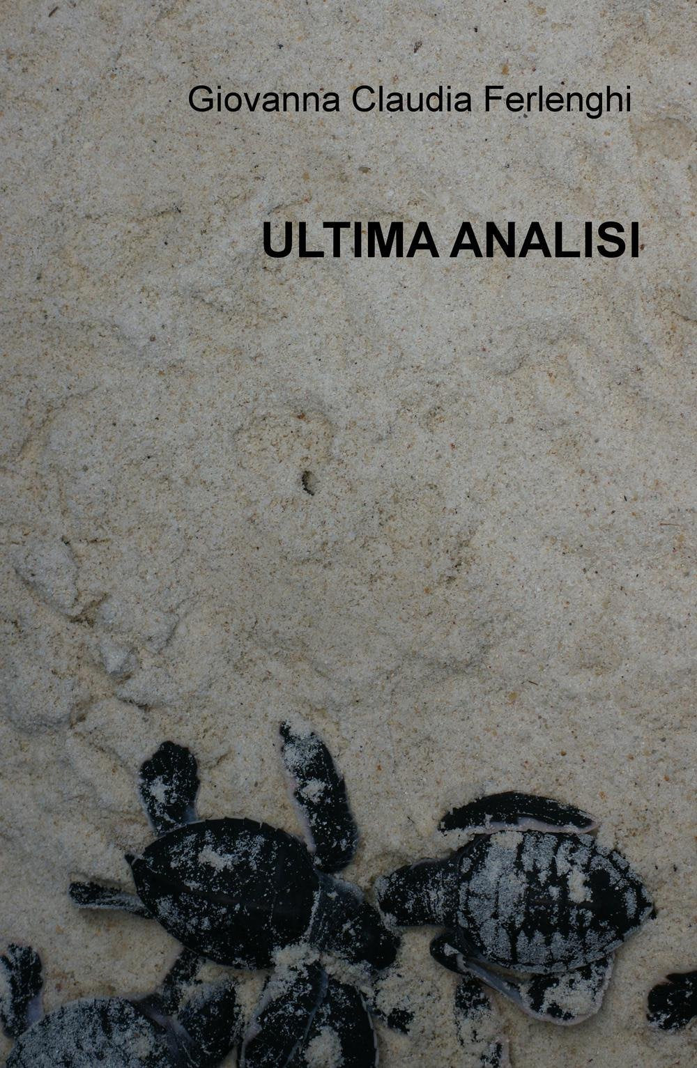 Ultima analisi (La community di ilmiolibro.it) Contemporary literature