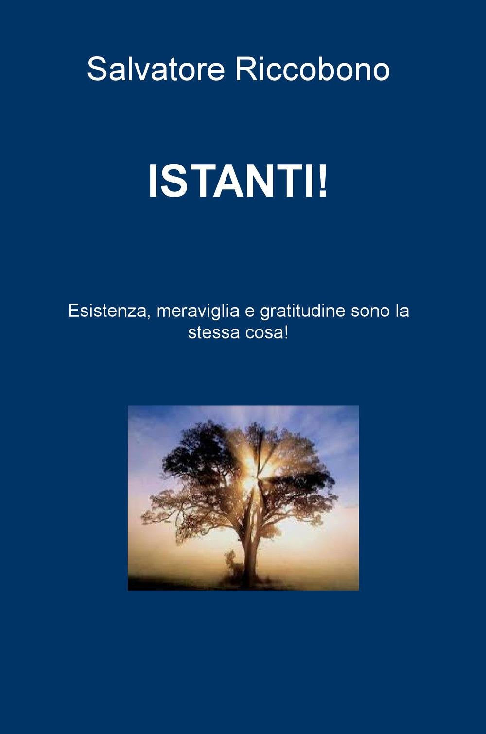 Istanti! Esistenza, meraviglia e gratitudine sono la stessa cosa! Testo siciliano e italiano (La community di ilmiolibro.it) Poetry