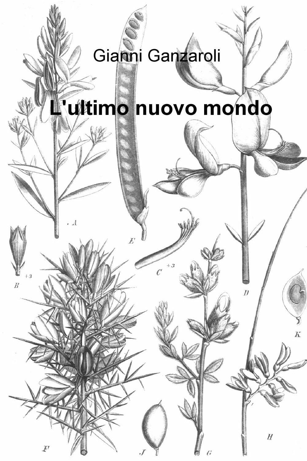 L'ultimo nuovo mondo (La community di ilmiolibro.it) Contemporary literature