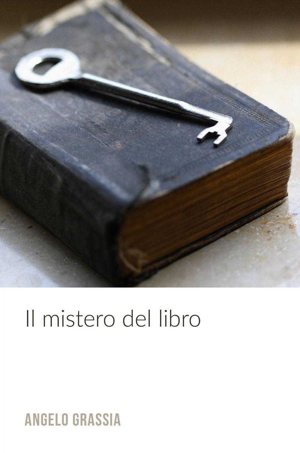 Il mistero del libro (La community di ilmiolibro.it) Contemporary literature