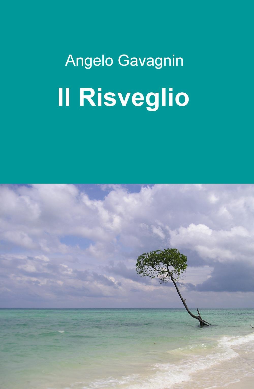 Il risveglio (La community di ilmiolibro.it) Contemporary literature