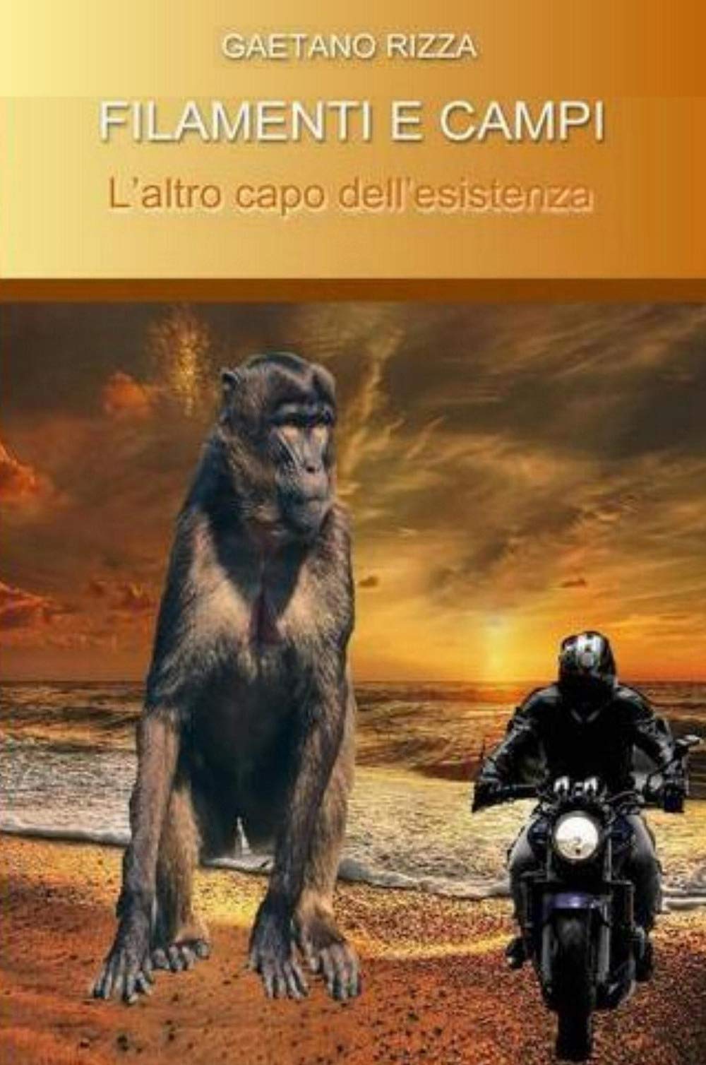 Filamenti e campi. L'altro capo dell'esistenza (La community di ilmiolibro.it) Contemporary literature