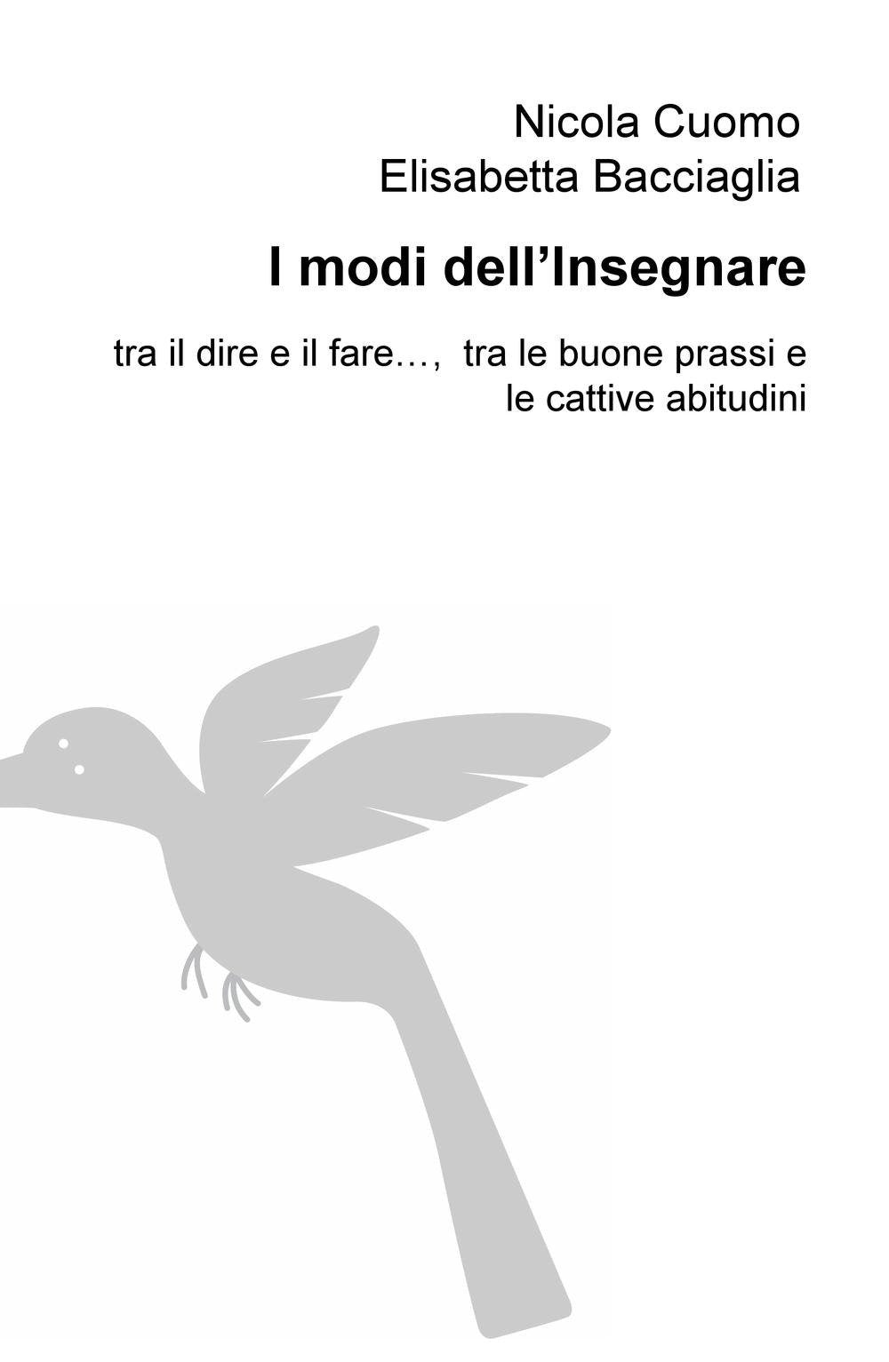 I modi dell'isegnare. Tra il dire e il fare..., tra le buone prassi e le cattive abitudini (La community di ilmiolibro.it) Books