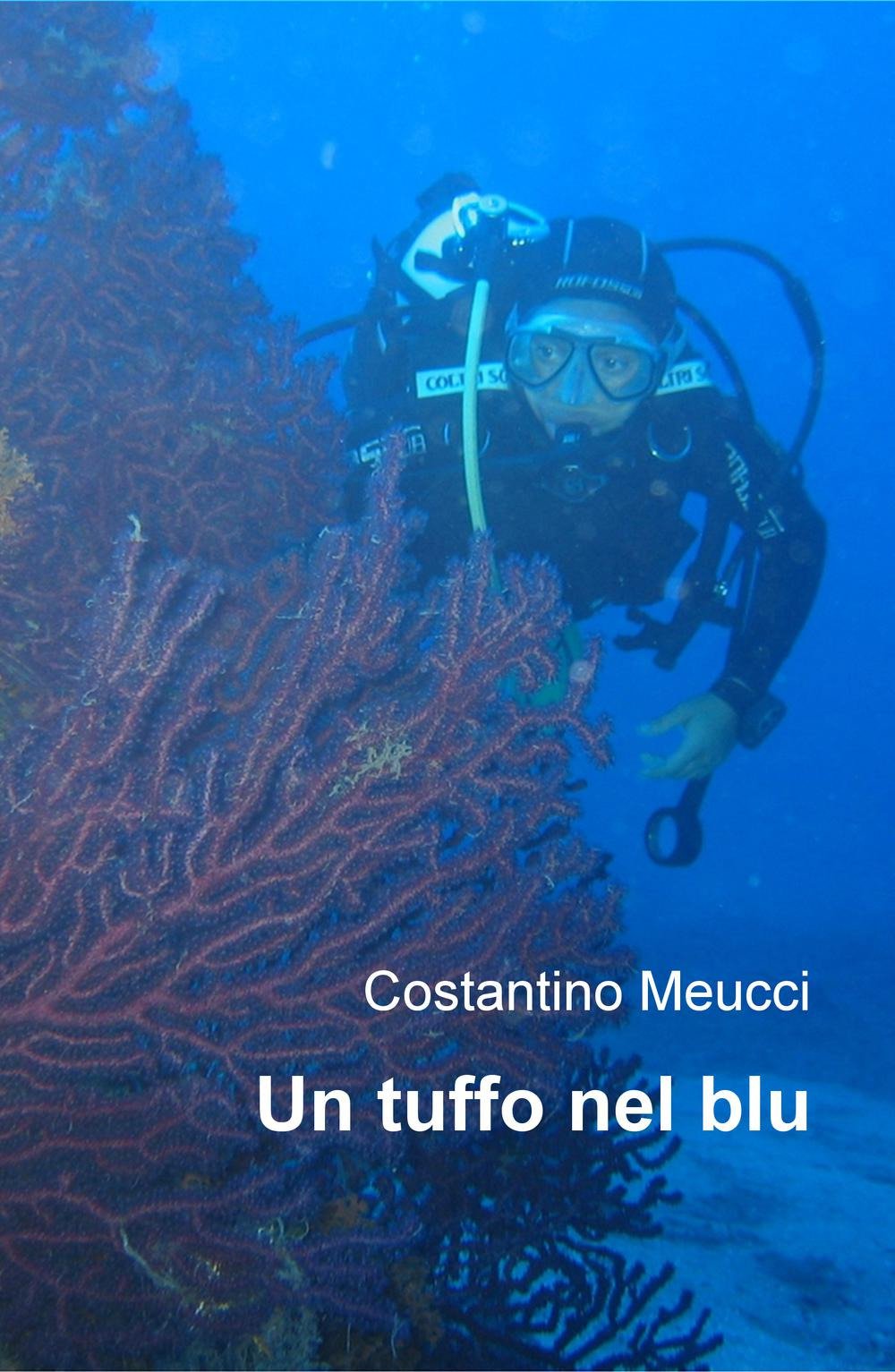 Un tuffo nel blu (La community di ilmiolibro.it) Essays & Short Stories
