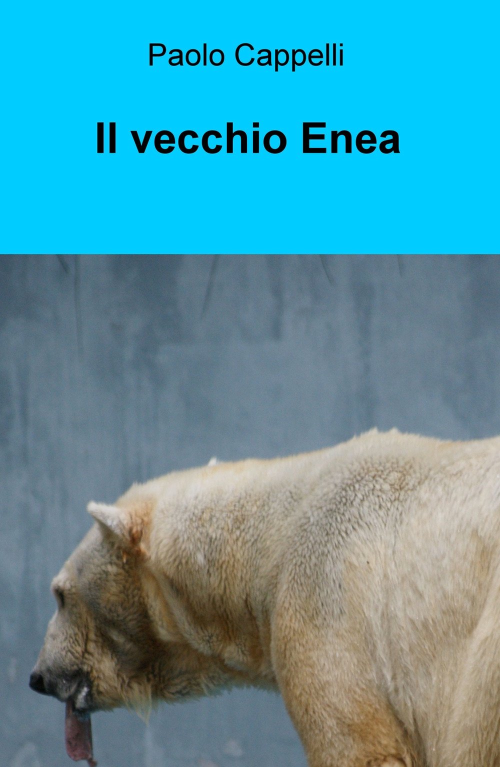 Il vecchio Enea (La community di ilmiolibro.it) Essays & Short Stories