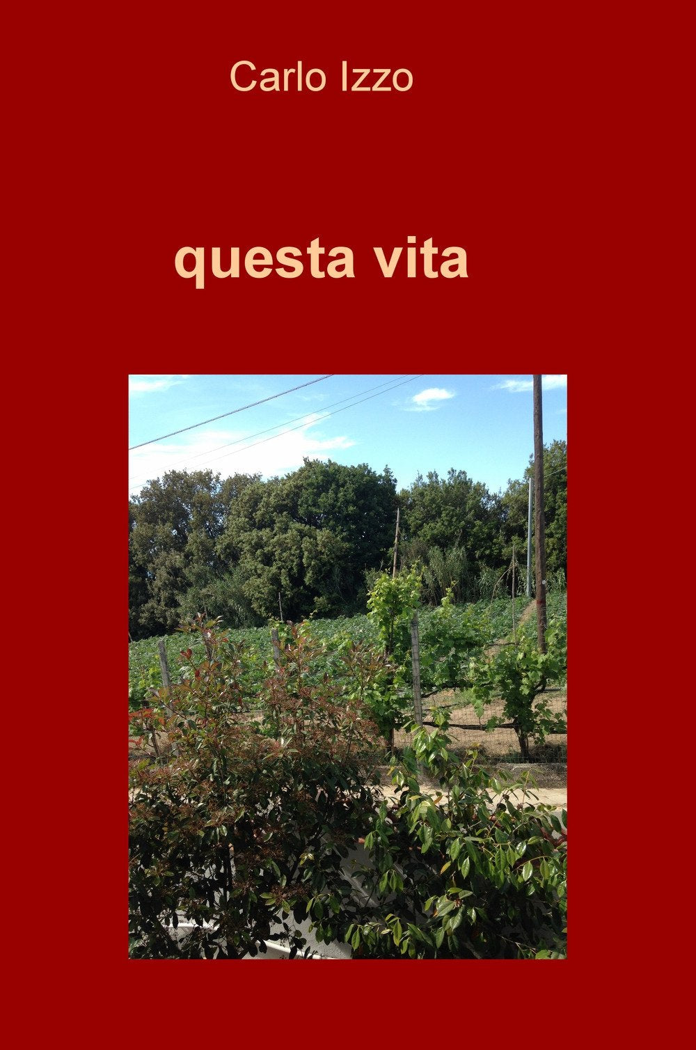Questa vita (La community di ilmiolibro.it) Poetry