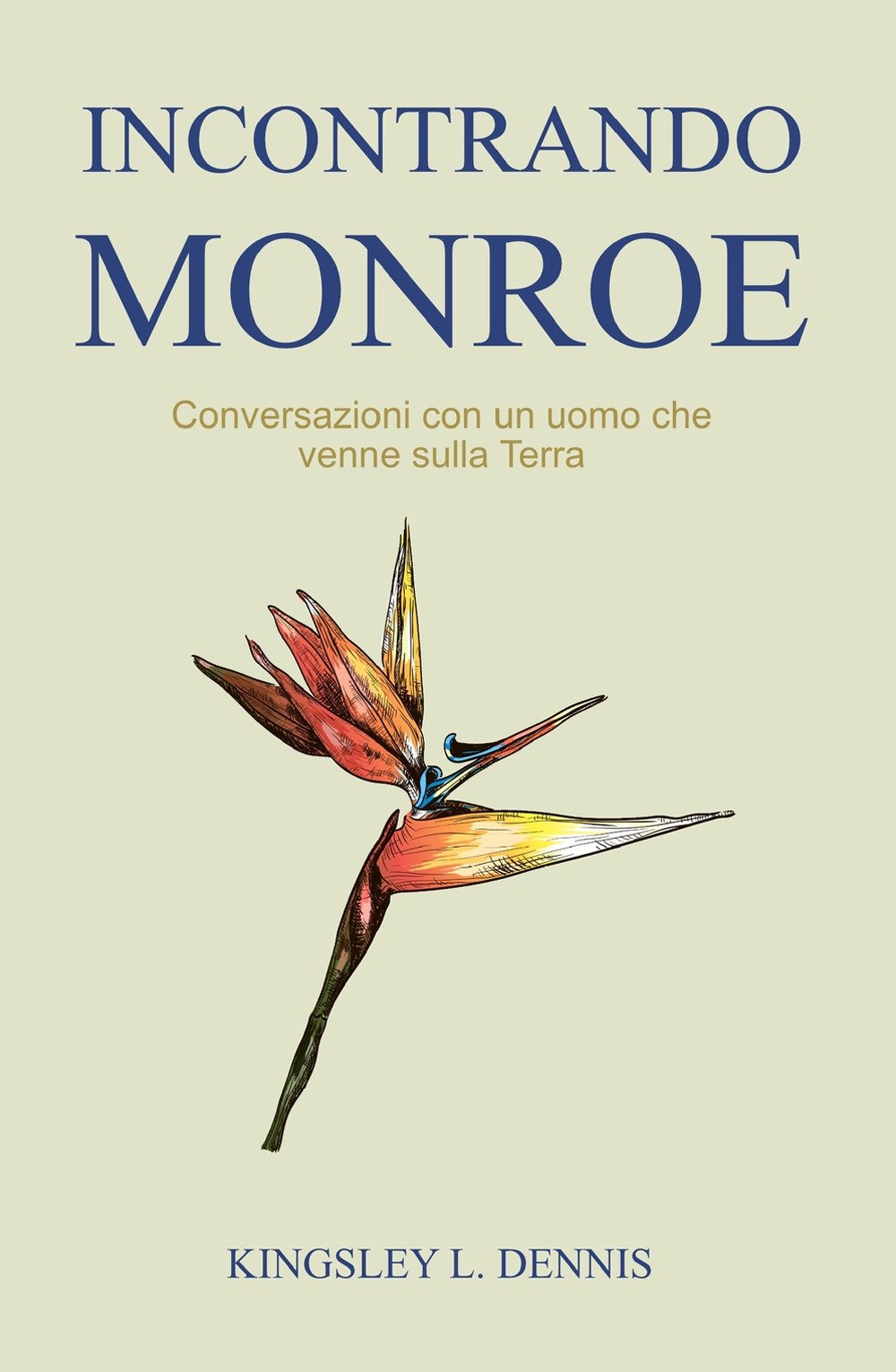 Incontrando Monroe. Conversazioni con un uomo che venne sulla Terra (La community di ilmiolibro.it) Contemporary literature