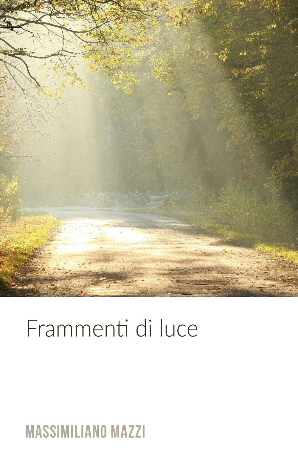 Frammenti di Luce (La community di ilmiolibro.it) Contemporary literature