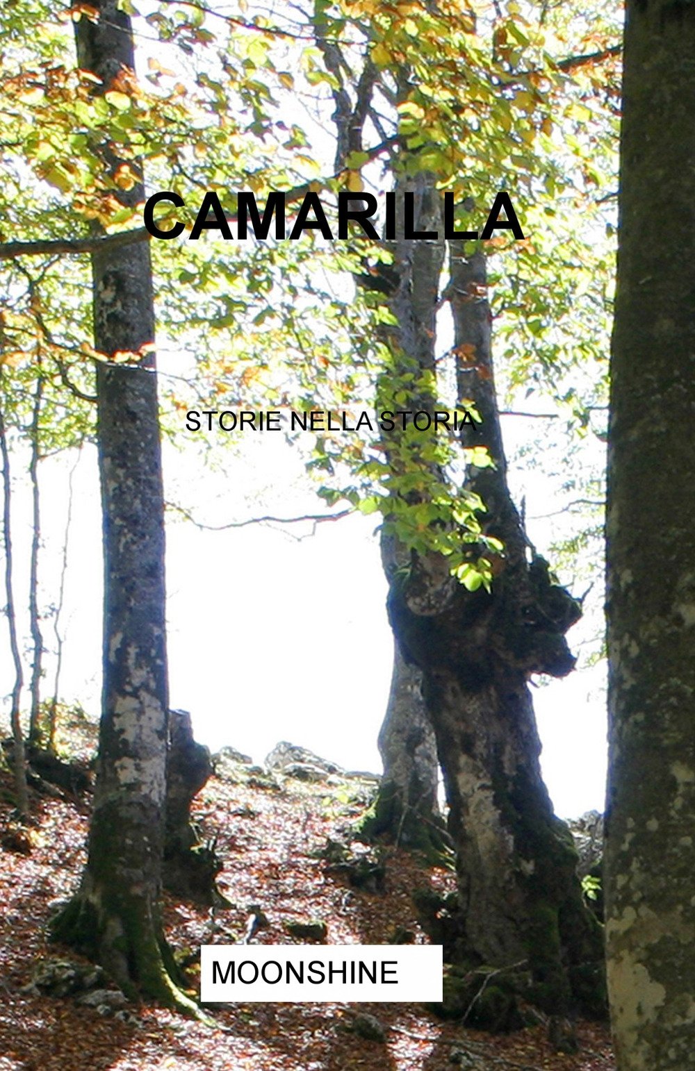 Camarilla. Storie nella storia (La community di ilmiolibro.it) Historical Fiction