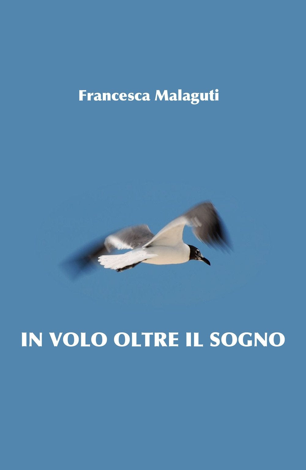 In volo oltre il sogno (La community di ilmiolibro.it) Contemporary literature