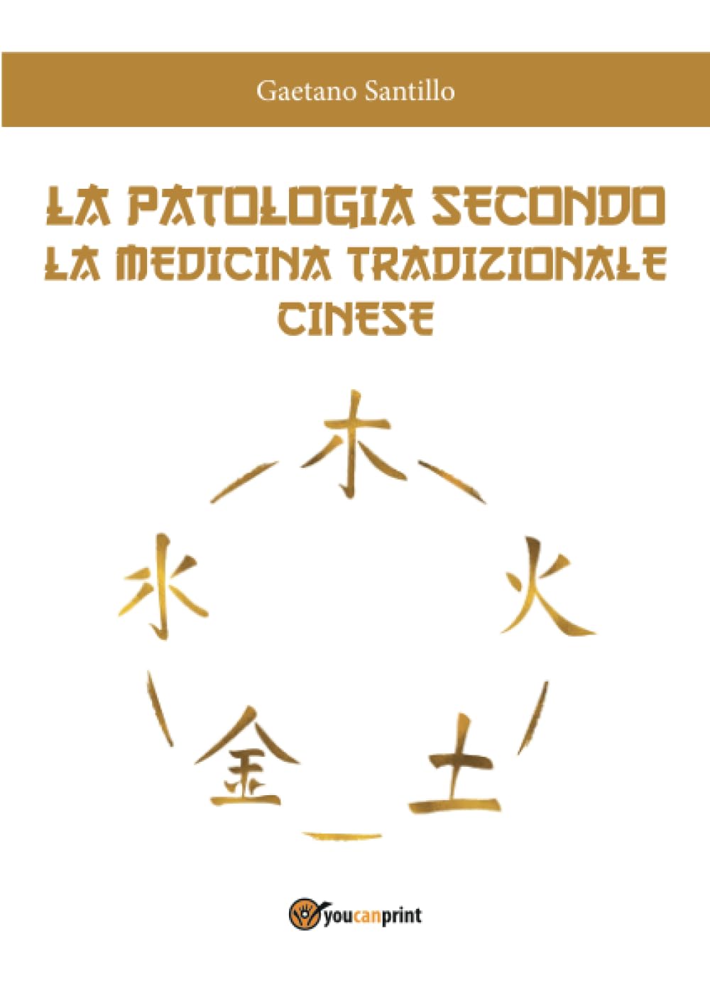 la patologia secondo la medicina tradizionale cinese book