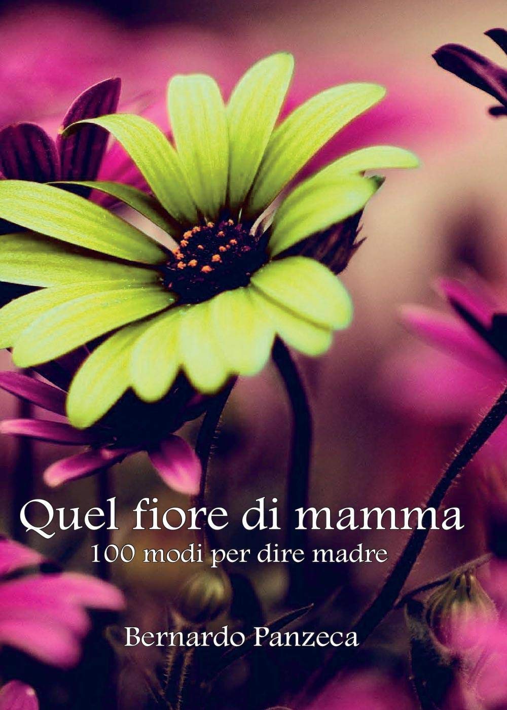 Quel fiore di mamma: 100 modi per dire madre (Youcanprint Self-Publishing) Poetry