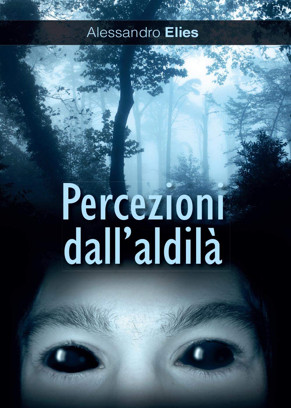 Percezioni dall'aldilà (Youcanprint Self-Publishing) Horror & Mystery