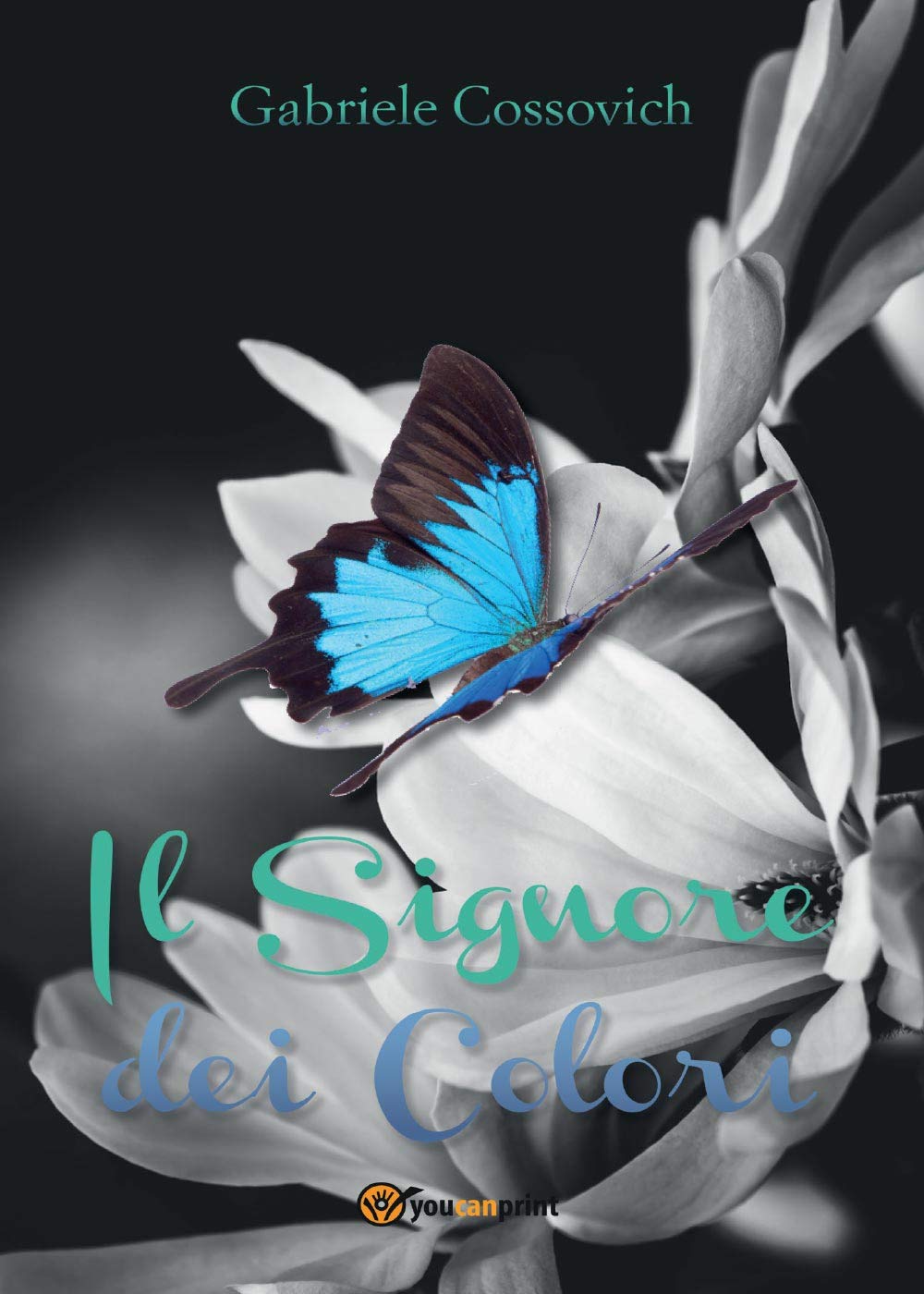 Il Signore dei Colori (Youcanprint Self-Publishing) Contemporary literature