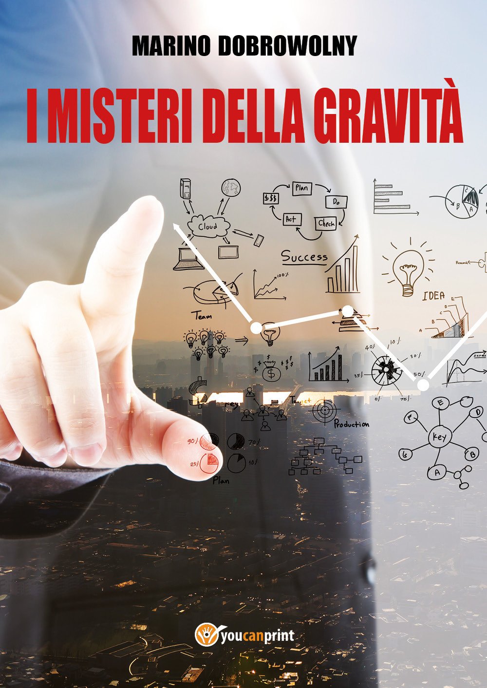 I misteri della gravità book