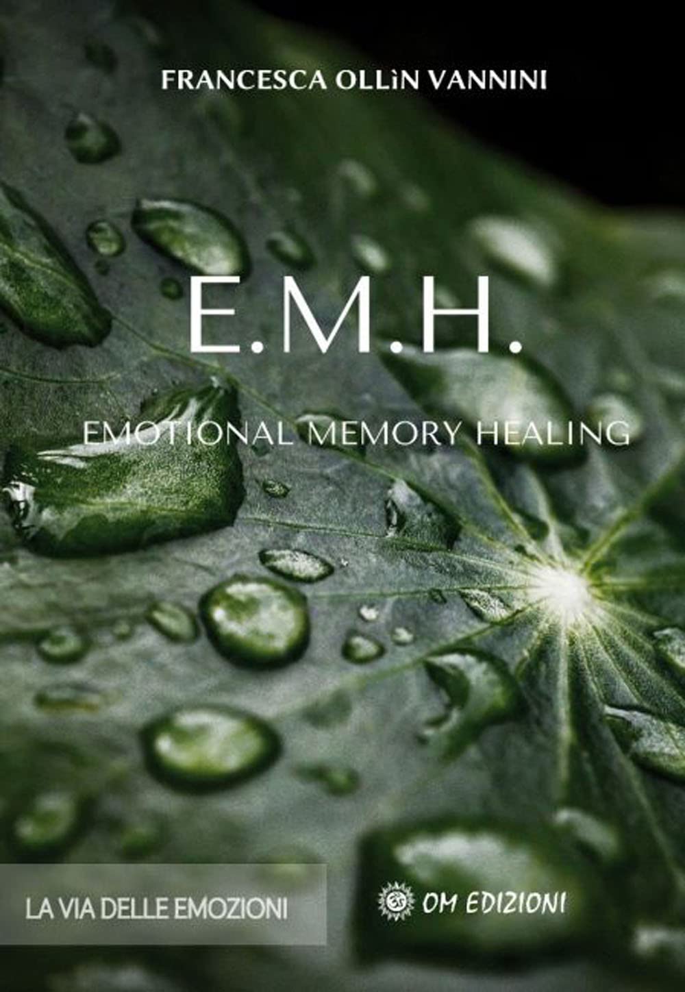 EMH Emotional Memory Healing. La via delle emozioni (I saggi) Religion & Esotericism