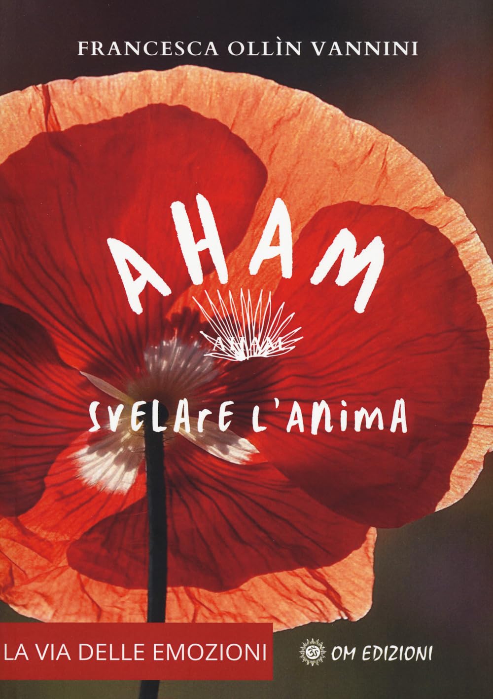 Aham. Svelare l'anima (I saggi) Religion & Esotericism