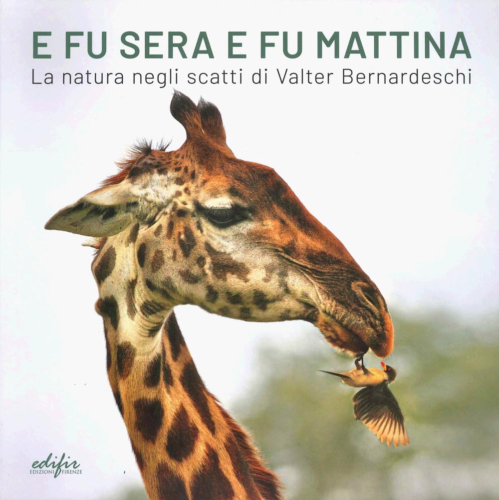 E fu sera e fu mattina. La natura negli scatti di Valter Bernardeschi. Catalogo della mostra (Firenze, 5 settembre 2024-7gennaio 2025). Ediz. italiana e inglese (Arte) Film, Art & Culture