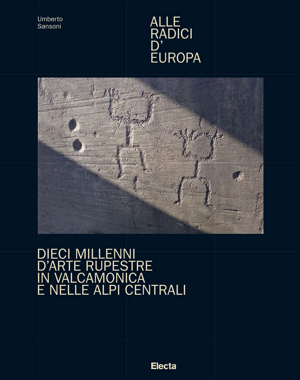 Alle radici d'Europa. Dieci millenni d'arte rupestre in Valcamonica e nelle Alpi Centrali. Ediz. illustrata book
