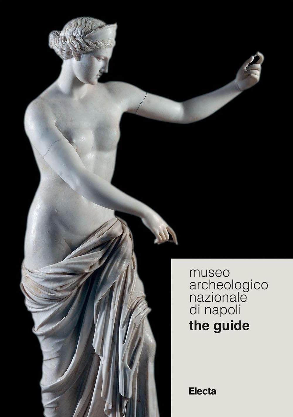 Museo Archeologico Nazionale di Napoli. The guide (Guide MANN) Leisure, Home & Garden