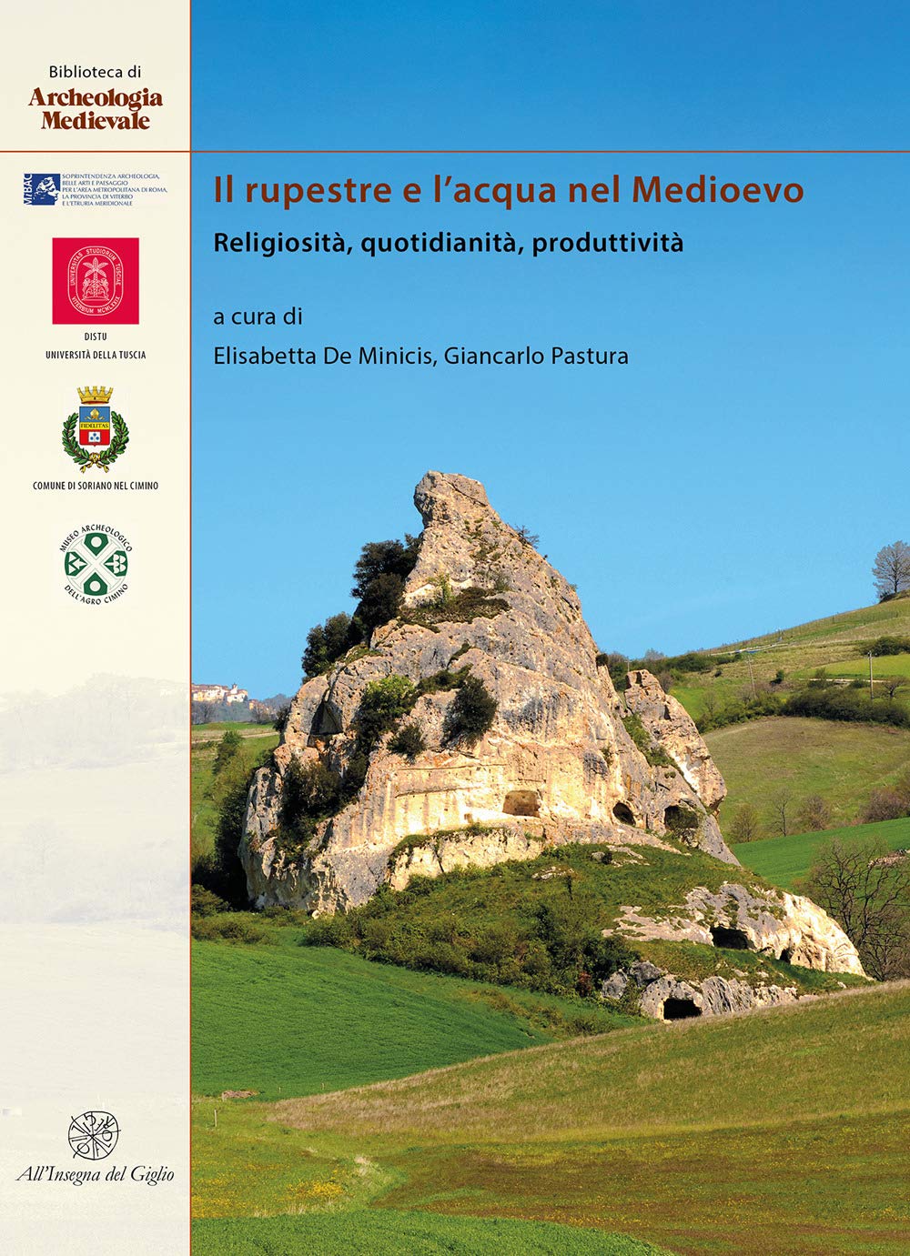 Il rupestre e l'acqua nel Medioevo. Religiosità, quotidianità, produttività book