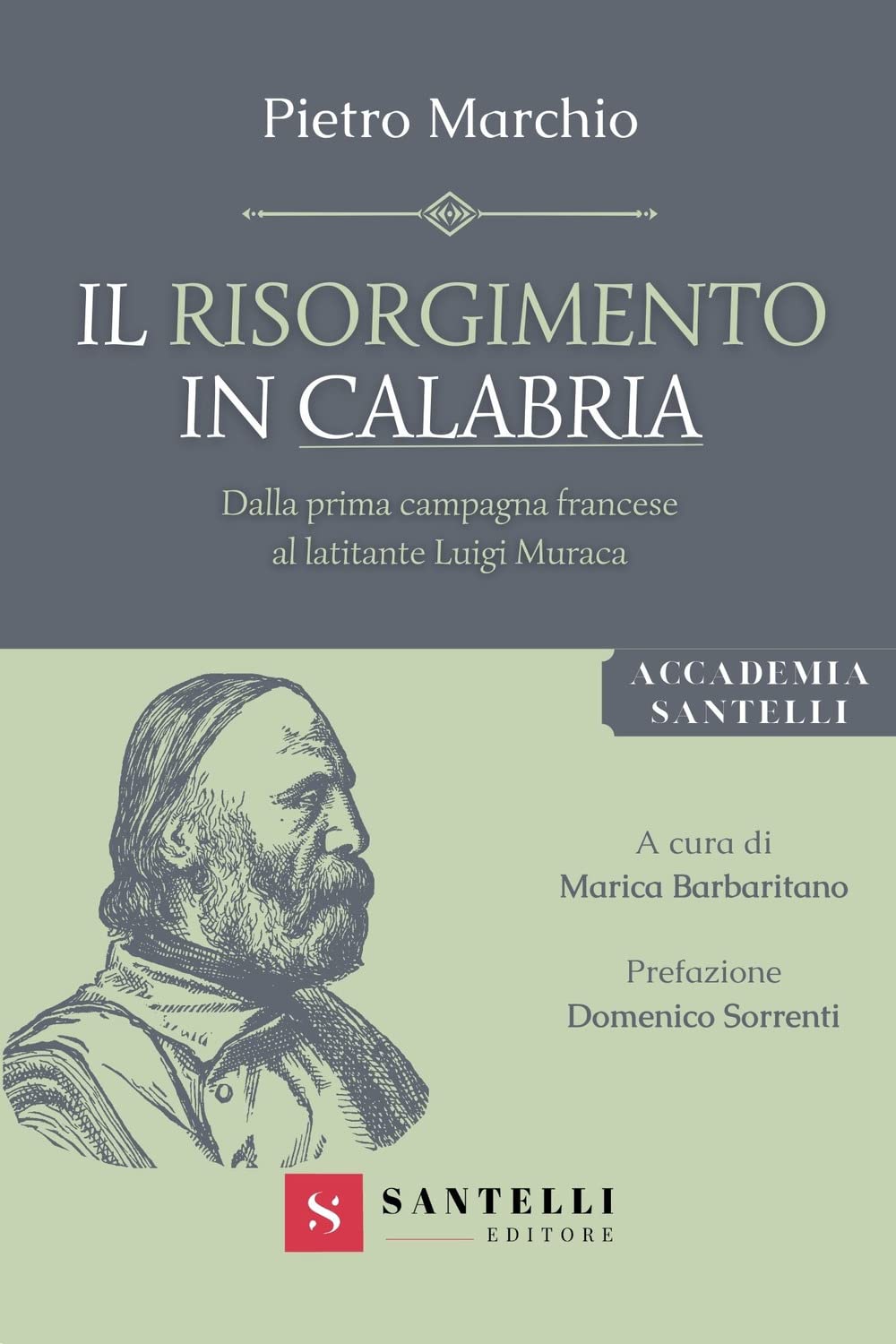 Il Risorgimento in Calabria. Dalla prima campagna francese al latitante Luigi Muraca book