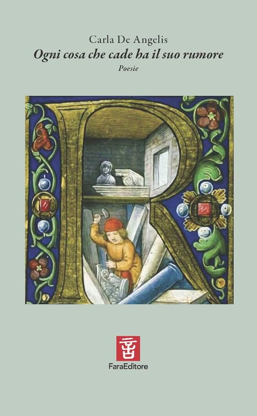 Ogni cosa che cade ha il suo rumore book