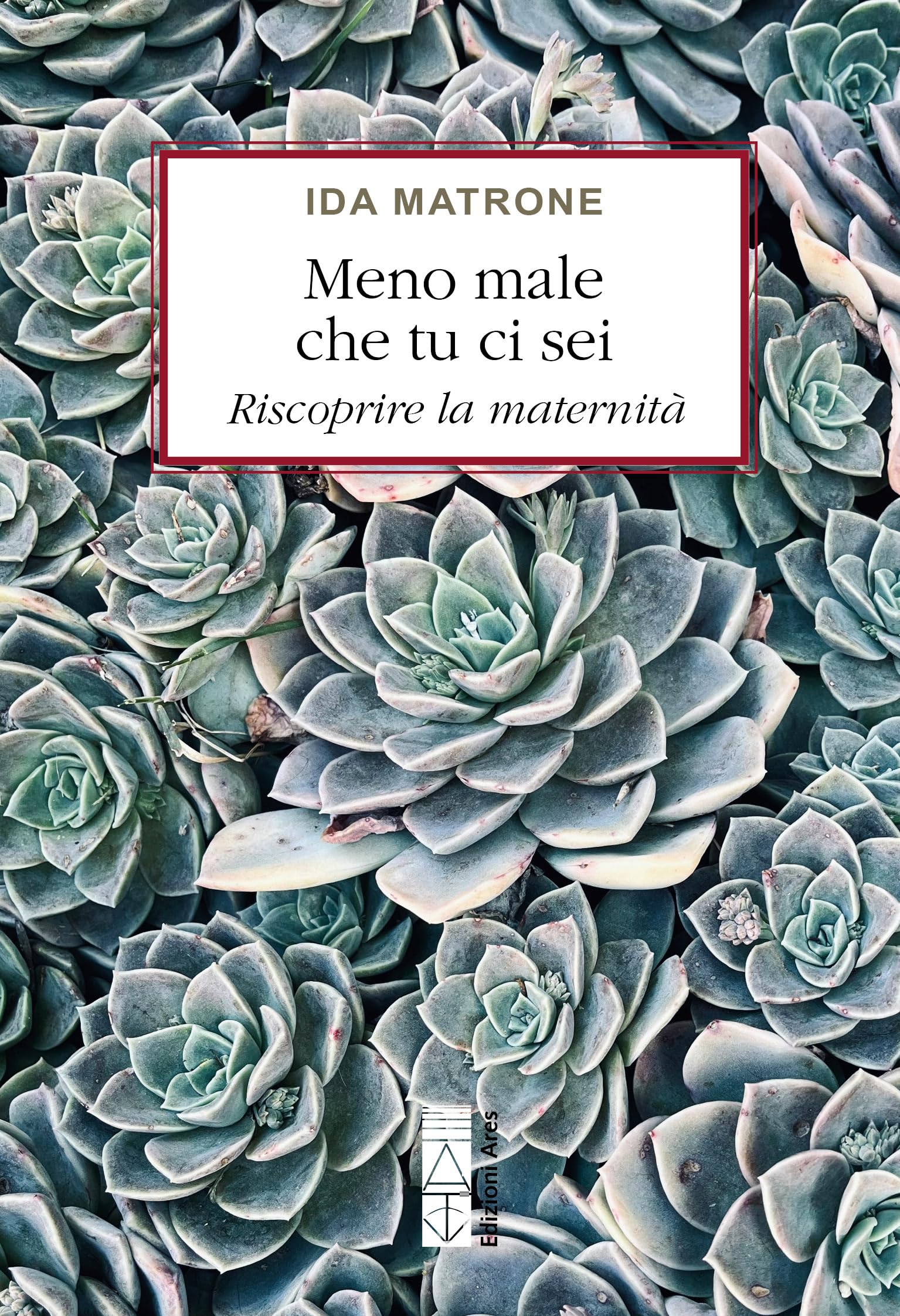 Meno male che tu ci sei. Riscoprire la maternità Religion & Esotericism