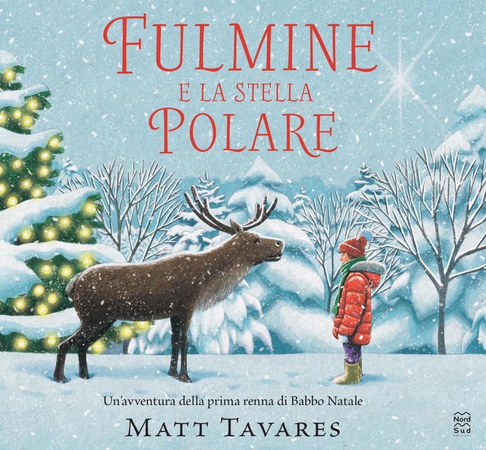 Fulmine e la stella polare. Ediz. a colori book