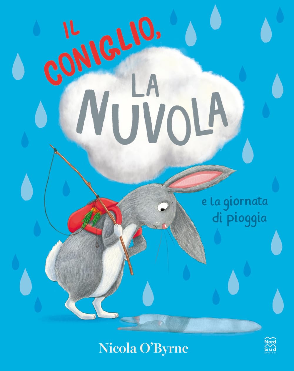 Il coniglio, la nuvola e la giornata di pioggia. Ediz. a colori book