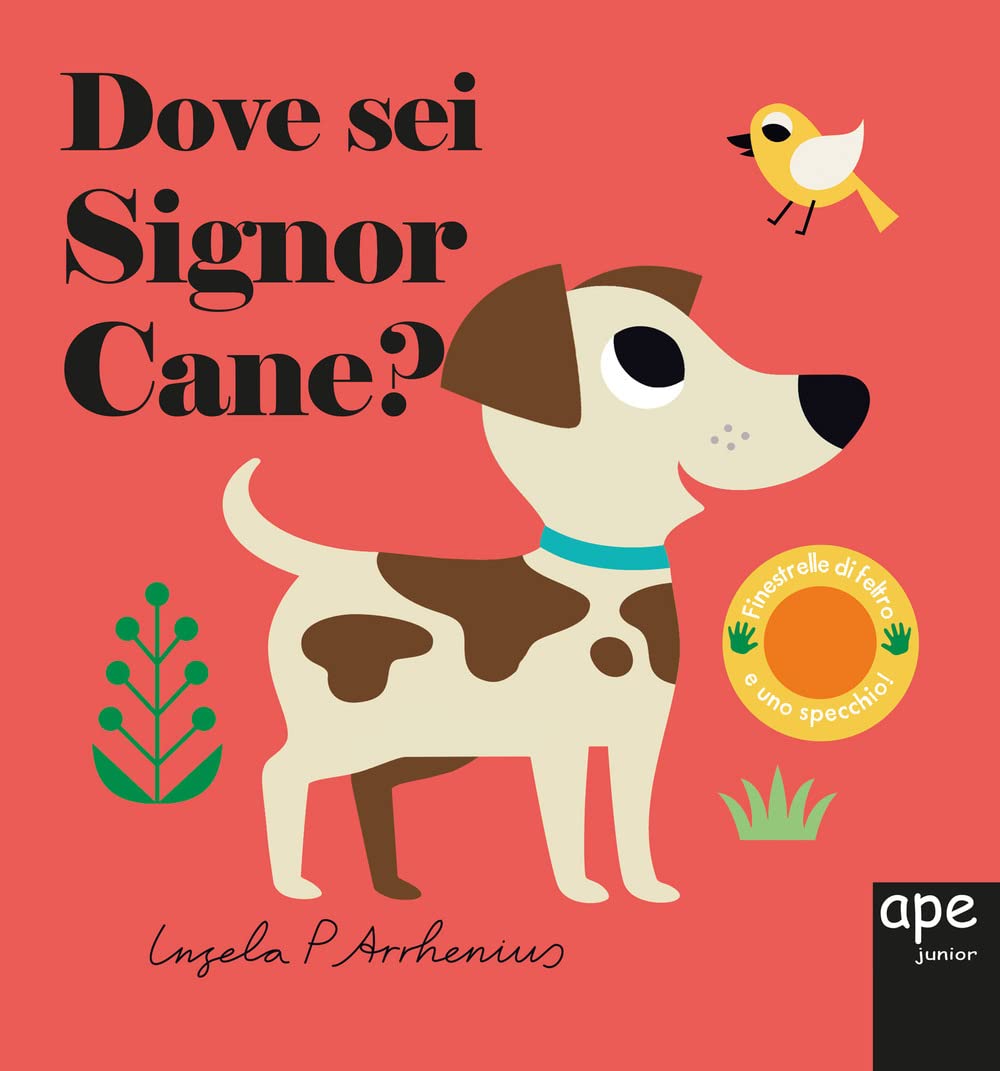 Dove sei, signor Cane? Ediz. a colori book